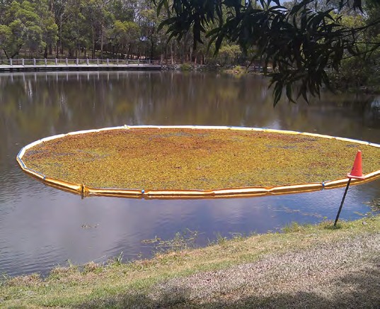 Example yellow weed boom enclosing floating vegetation beside a pond bank